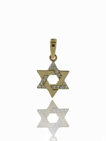 14 Ayar Altın Minik Davut Yıldızı Kolye Ucu Charm