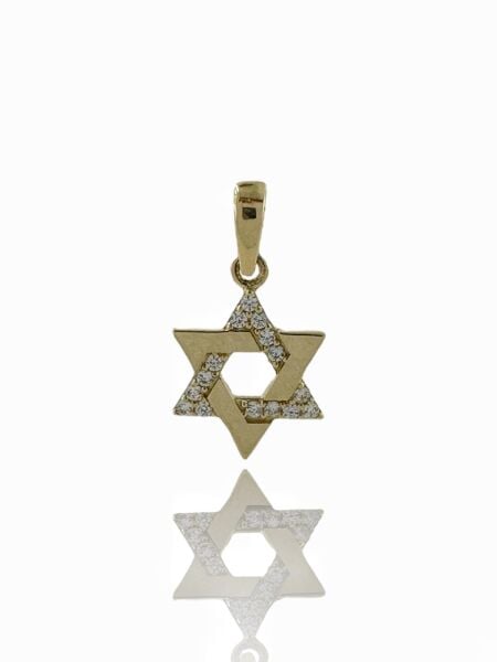 14 Ayar Altın Minik Davut Yıldızı Kolye Ucu Charm